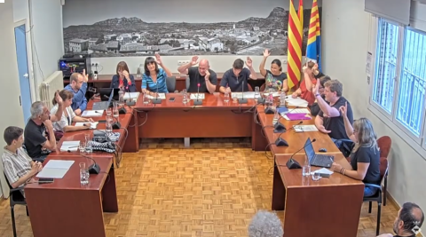 Ple ordinari de 24 de juliol de 2025