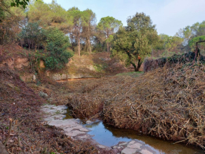 Vacarisses i les franges perimetrals de protecció dels nuclis habitats.